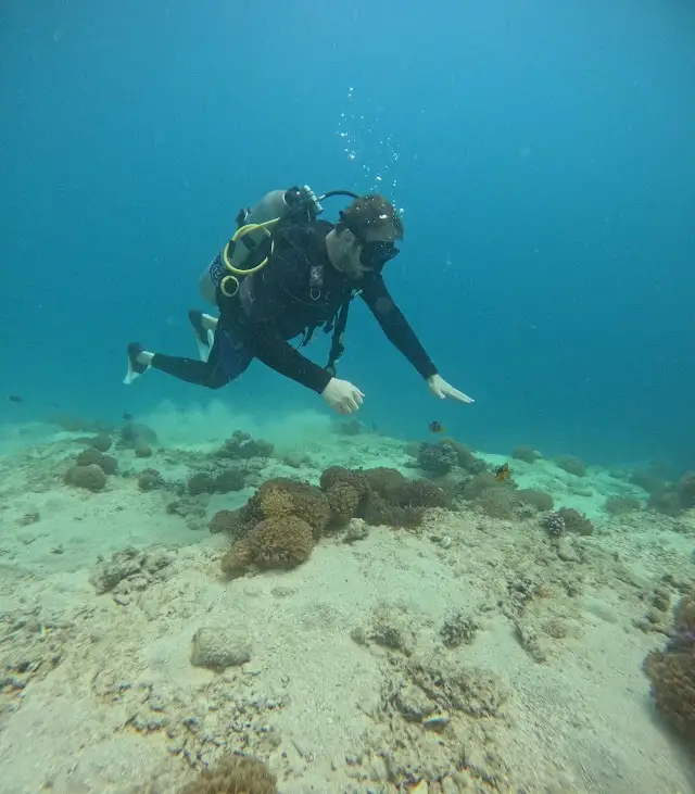 El Gouna Blue Corner diving club & snorkelling & Boat trips & quad safari desert