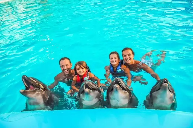Dolphin World Egypt, Makadi Bay